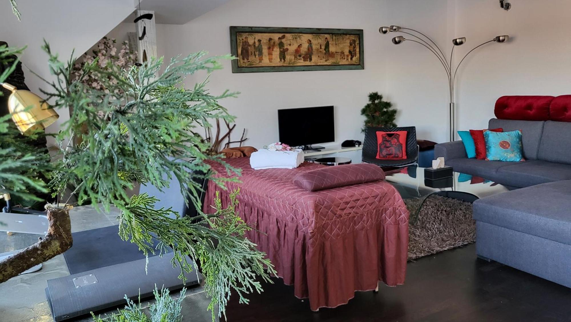 Apartment Luxury - Free Massages From Physiotherapists Prague