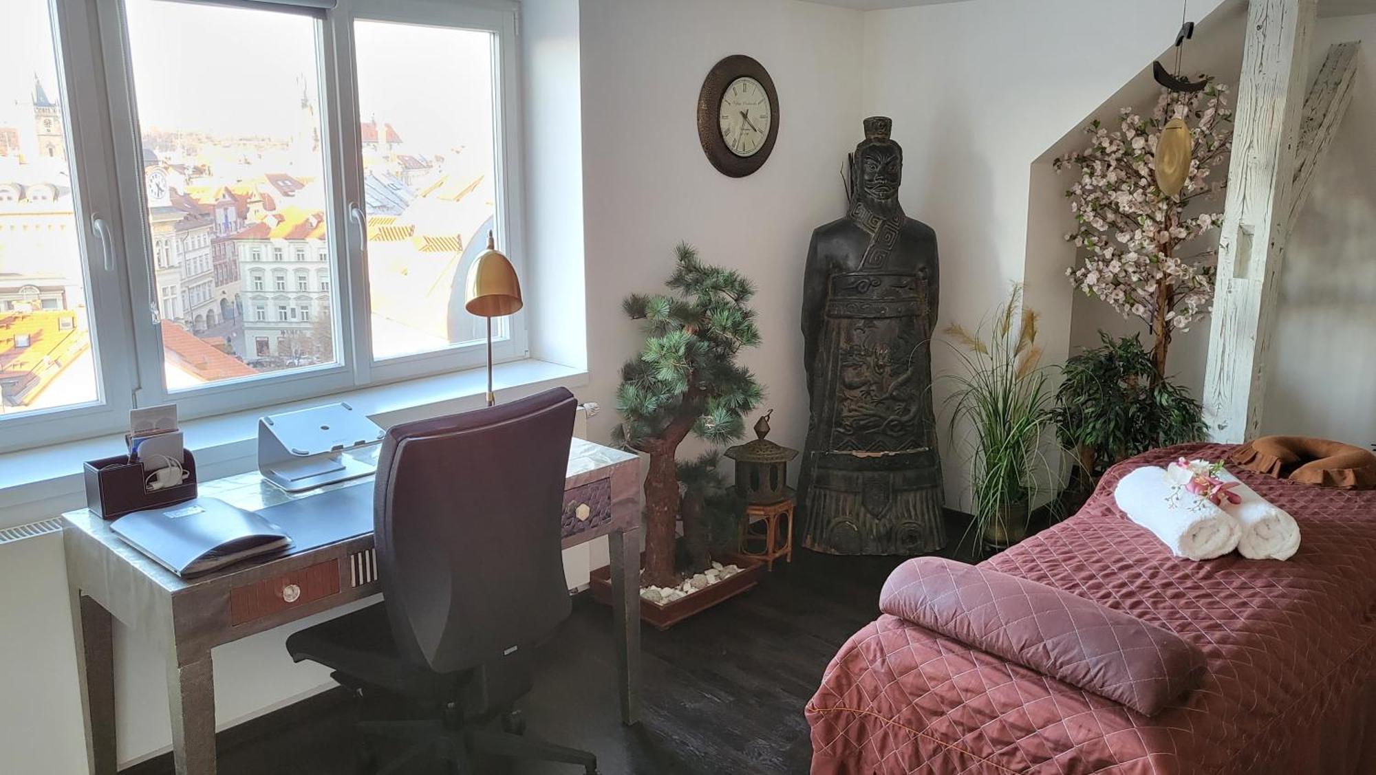 Luxury - Free Massages From Physiotherapists * Prague