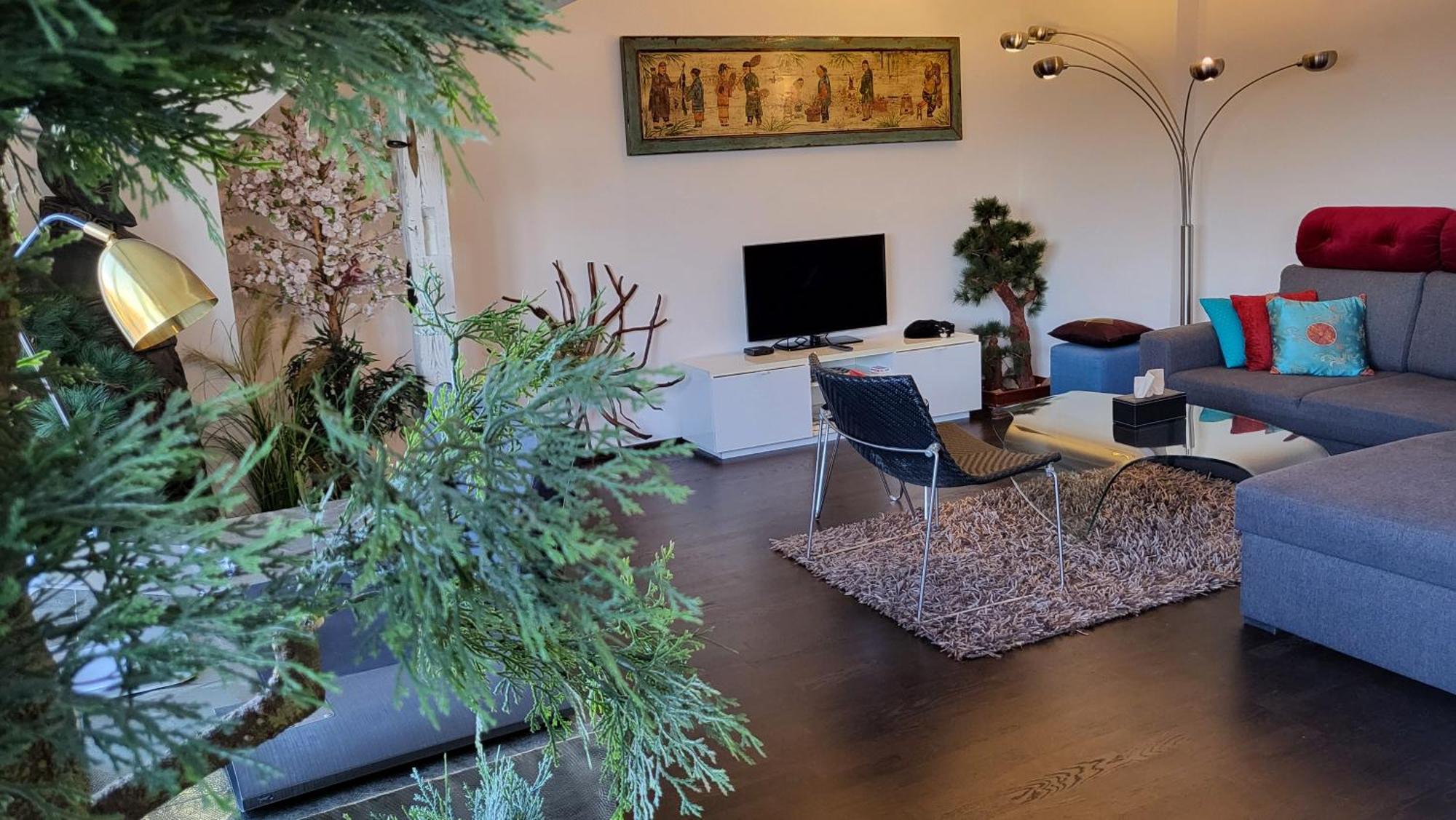 Apartment Luxury - Free Massages From Physiotherapists Prague